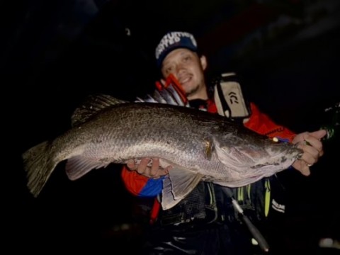 axmrawzawct8jphwbwet_480_360-c0d16c07.jpg
