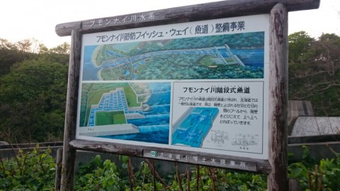 ayetw6fcekdz255h5sri_920_518-a468c67d.jpg
