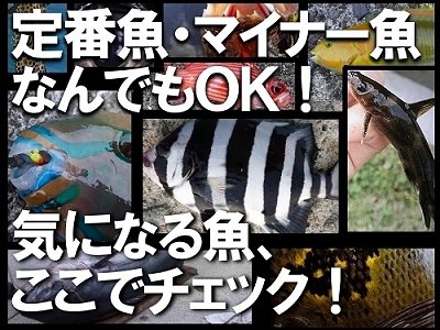 ayhxnjemhkv22hvh5wb5-30b2d1ff.jpg