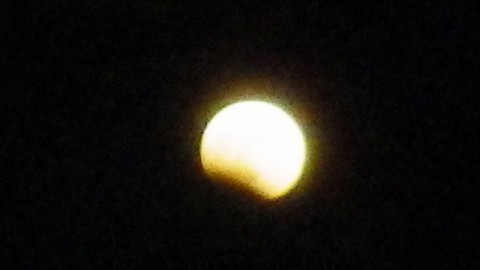 ayu9rme6bdtm288ys98n_480_480-13355253.jpg