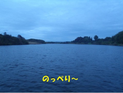 az83mxh62irja6zvwhvp_480_480-7a294c44.jpg