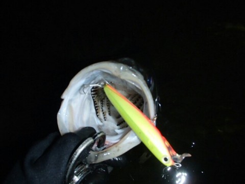 azbg4asmzc69ks5ukff8_640_480-40775e0a.jpg