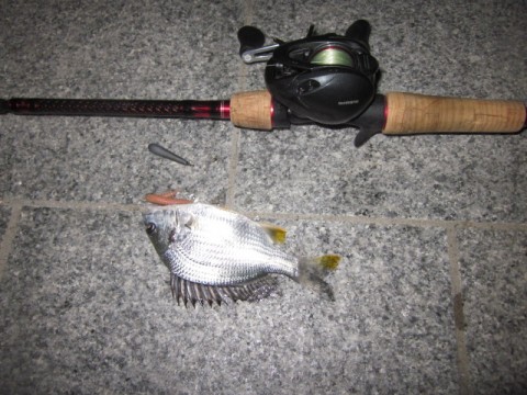 azdcc57y3ucch4twd2eh_480_480-aa8d94f7.jpg