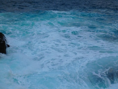 azjhcaihxeu2ypja8rxo_480_480-d424593f.jpg