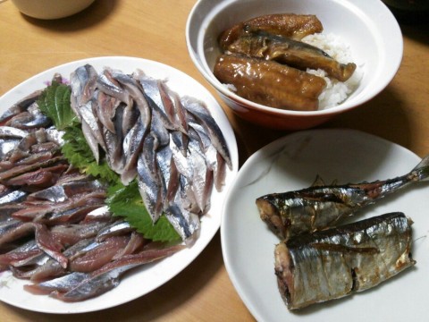 azn898476b6gn7tifita_920_690-3ad58713.jpg
