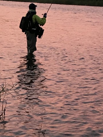 azyjvym5spjfkbzgpo75_480_480-f0063bf1.jpg