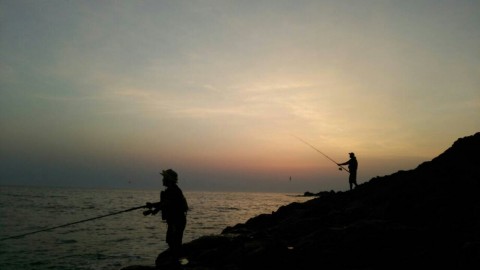 b2cbevnyifxh59htkwks_920_518-e062cc8a.jpg