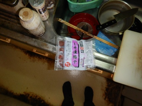 b2e99vgcbebx2e7emtin_480_480-5af974ac.jpg