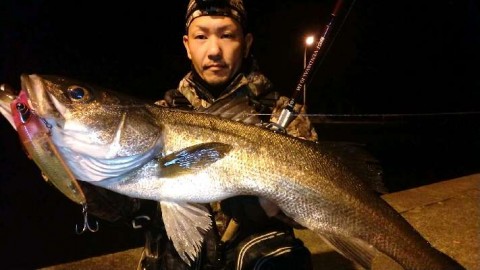 b2ee79jaw7zkymvs753b_480_480-41b96079.jpg