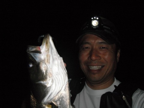 b2hngvj5c678m34ax3r8_480_480-68438ac3.jpg