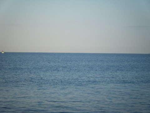 b2vgmwtmk6eb9i793cf4_480_480-fc89f2c7.jpg