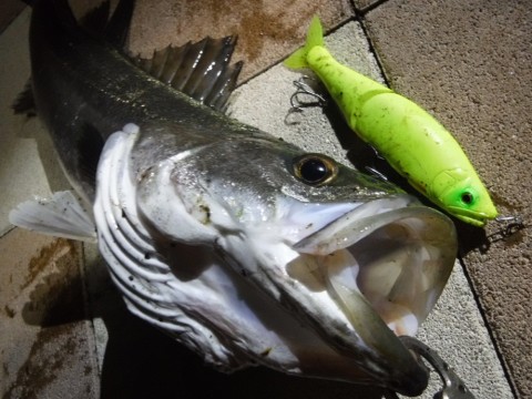 b2ygarnrc882iyme7fs6_920_690-7c7d82d0.jpg