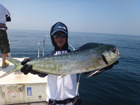 b34craw84no9cnec33zu_480_480-a84f090f.jpg