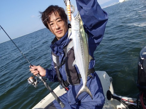 b3bocok7285y9484ph45_480_480-745195b7.jpg