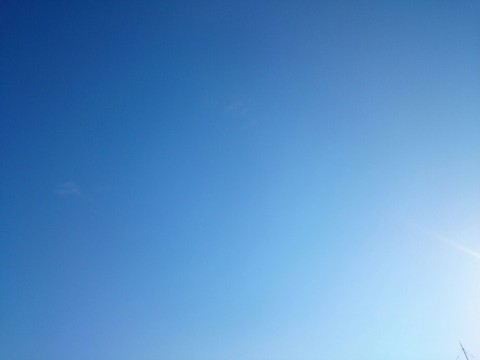 b3efwkk8vwbrsh8nrssc_920_690-162554e7.jpg