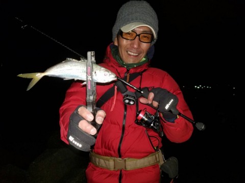 b3ni4zzp36zkehjjdgg4_480_480-d62ca815.jpg