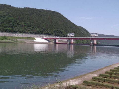b3pvsr53vgrzo39t6d9u_480_480-b24fb14a.jpg