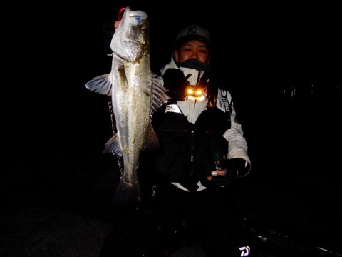 b3rkyds33rnhcyzoopph_920_690-b952ae96.jpg