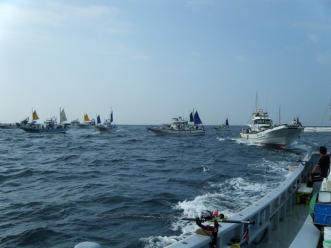 b4n83fagk8649wpad974_480_480-7f73b3e6.jpg
