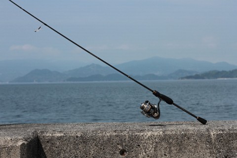 b4z9sexhec9ad75ocnpp_480_480-17916f47.jpg