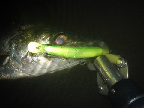 b5aenhjcwny2kjb7meok_480_480-75d89035.jpg