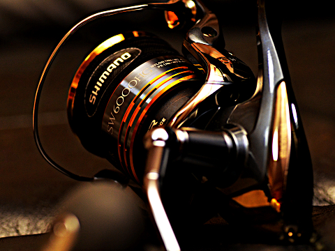 b5o66x4mhn5diun5mz4k-947352a8.jpg