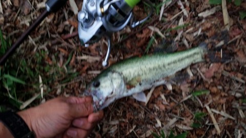 b6bbvpxgjcr8wwjycm9p_920_518-1daf11d6.jpg