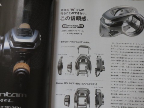 b6ii564v8kh7srzvc6cy_480_480-8dd96500.jpg