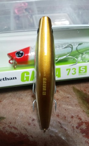 b6miuwu7k354h7i38bxn_560_920-f77783d7.jpg