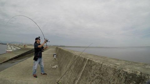 b6p8wxfj9vhtwsbf3mp7_480_480-124467c2.jpg