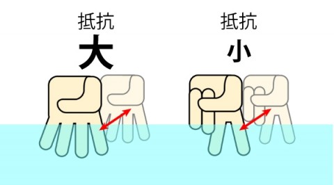 b6x6is7nk2729s5tgrd7_480_480-fa23e510.jpg