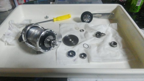 b6yzxr4nxkxjvr7fini8_480_480-1201a887.jpg