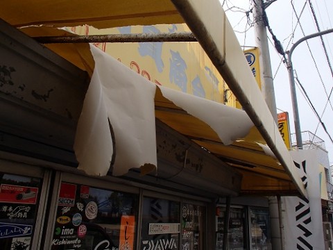 b73hwhr5av53cytdgio2_480_480-6c0c461e.jpg