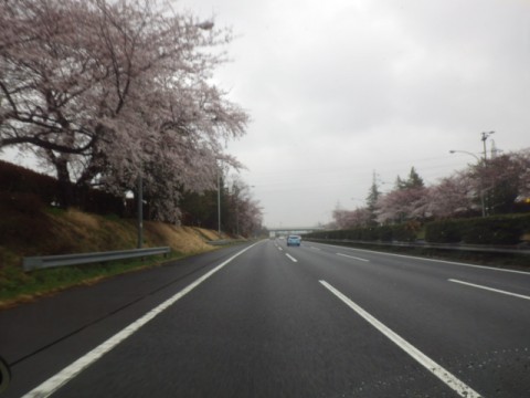 b7gwgyr4jbzgrzn4msek_480_480-4fd60349.jpg