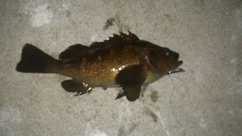 b7mosapsry2cr6tnjgxu_920_518-55297943.jpg