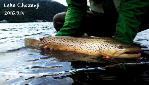 b7ntvw52ufend3m7ixri_480_480-c71df64d.jpg