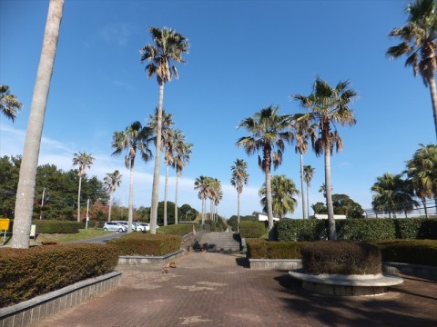 b7tntogpajnw9hap3yj8_480_480-eb87b9d3.jpg
