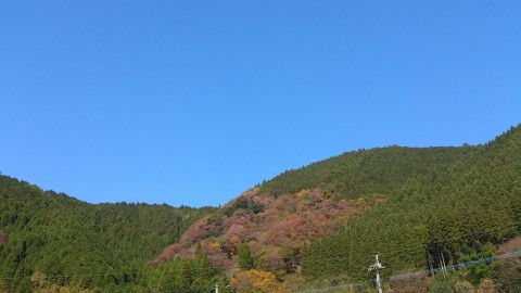b7toyocgkbaowk2syzhh_480_480-051e23b0.jpg