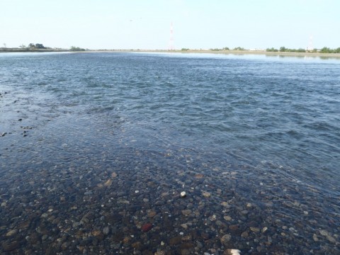 b7xfxg7pmsboe3nfmhad_480_480-f36804d9.jpg