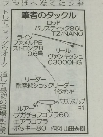 b8676jju86pokxw6xvdo_690_920-facd3c52.jpg