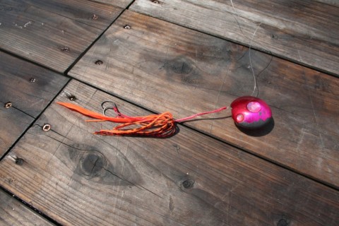 b8a9vmctihx3gotypyyg_480_480-e2213cc7.jpg