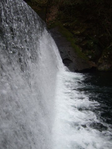 b8gf9mw9diycsugnxvwi_480_480-fafb0578.jpg