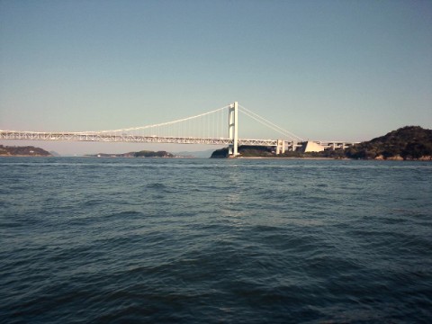 b8jf43eej3wj8wp9mn2a_480_480-821d08ca.jpg