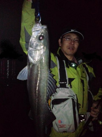 b9djfark3vonux6zpunh_480_480-2b769774.jpg