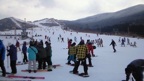 b9ho98uvhjrhvcuy7483_480_480-1f72146f.jpg