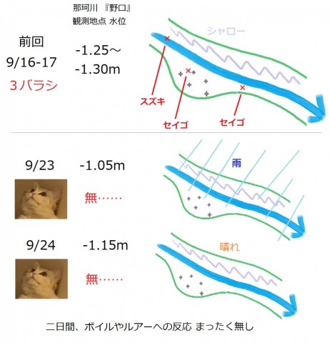 b9kseb44ure38hx85n26_480_480-2f669a9b.jpg