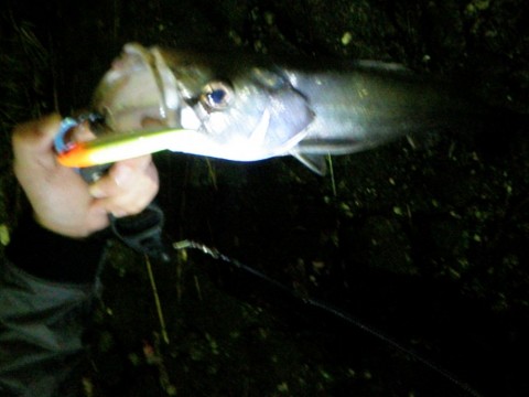 bTfcoS45s93AKOKTsLfX_480_480-d383df12.jpg