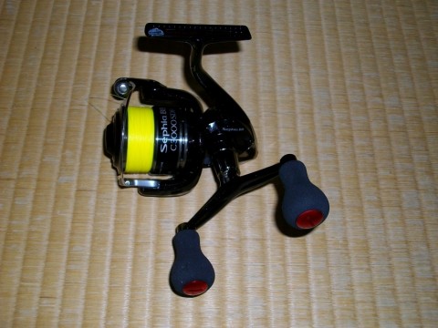 bXCt8PBJnWbprogbKmxH_480_480-b62d0785.jpg