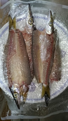 bahpnkopfbh7op8z7nem_518_920-0445d0a7.jpg