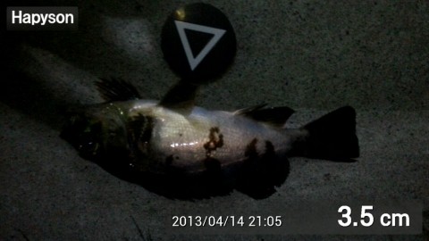 baoaovsscwbbkcs3edcu_920_518-97b80411.jpg